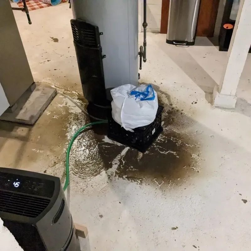 Sewage Backup Cleanup Service in Beechwood Village, KY